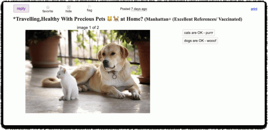 Craigslist Issue 1 Screenshot