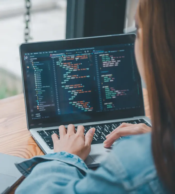 web data scraping services provider team