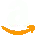 Amazon logo at Data Visualization services page
